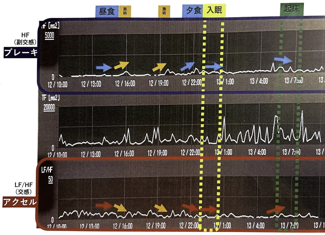 検査結果イメージ1