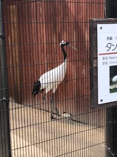 京都市動物園♪